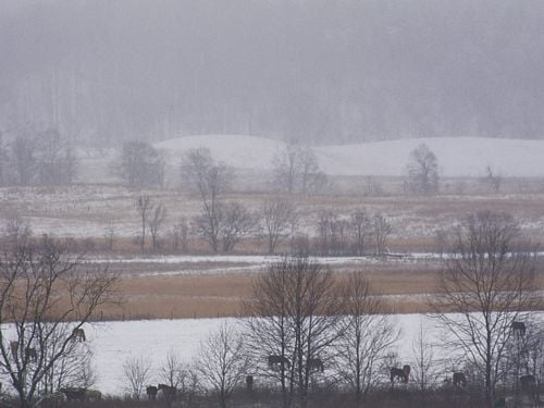 Landscape Vinyl Wall Graphic Decals 11