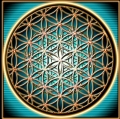 YOGA Flower of Life Color Sticker