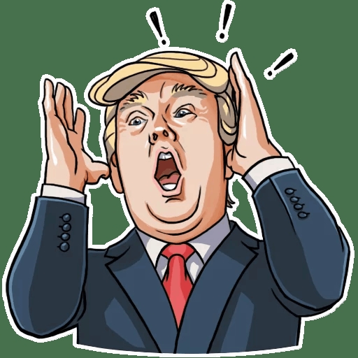 2020 TRUMP political sticker  06