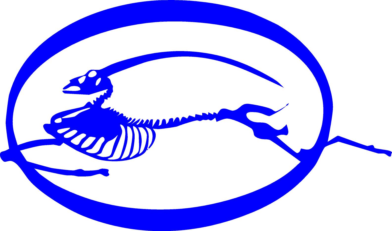 CHEVY IMPALA LOGO BONES DECAL