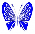 Tribal Butterfly 15