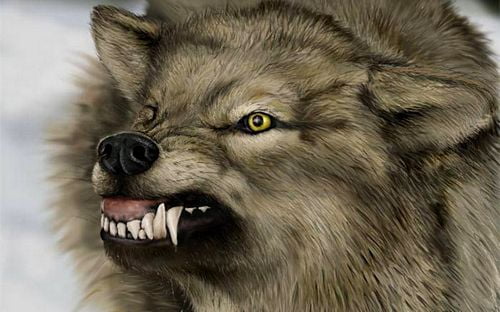 3d Objects as Art Wall Decals 30