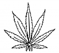 Weed Leaf Decal