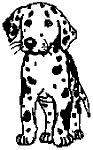 15K Dalmation Dog Decal