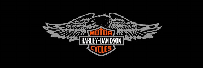 H D 2 Rear Window See Thru Graphic