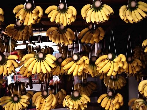 Close Up Photography Vinyl Graphics 19