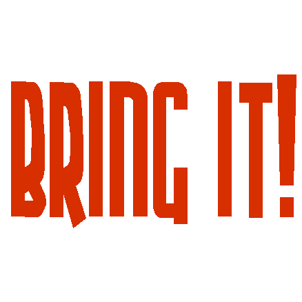 Bring It vinyl decal - 650