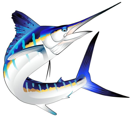 Marlin Color Fish Sticker 5