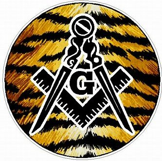 MASON FILLS Skin Tiger