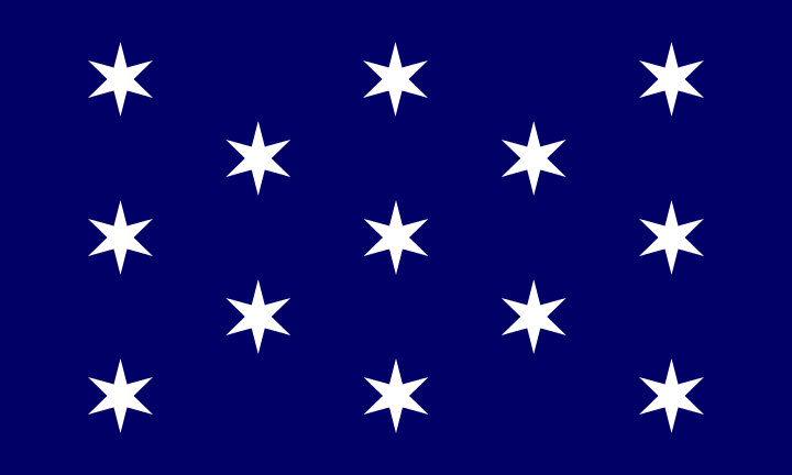 New York Washington City Flag Sticker