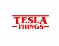 TESLA THINGS DECAL