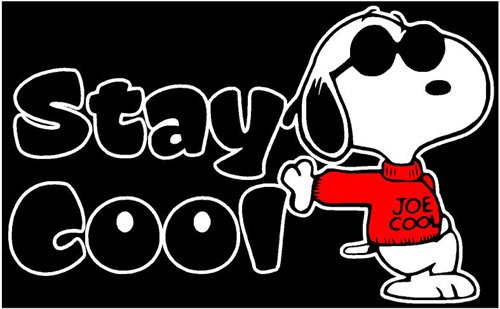 Peanuts Snoopy Joe Cool Sticker 2