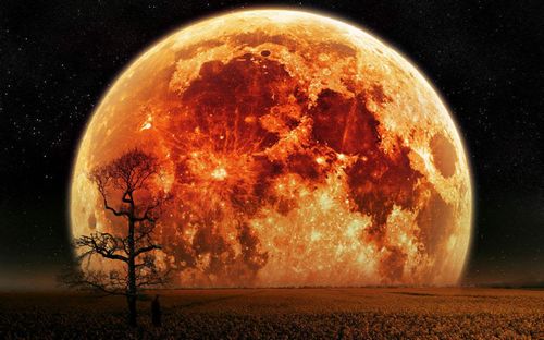 3D Space and Stars Wall graphics 33