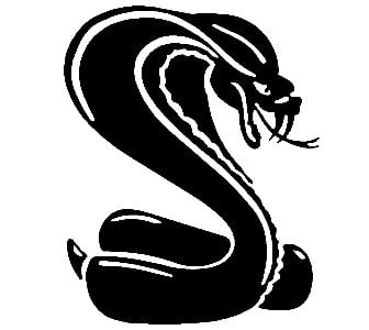 Cobra decal 1
