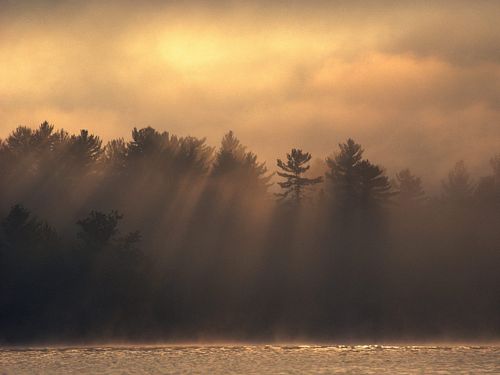 Beaches and Coastal Vinyl Wall Graphics 138