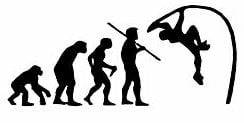Evolution Sport Stickers POLE VAULT