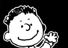 Franklin Wave Decal Sticker