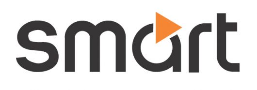 Smart Logo 1 Color Vinyl Sticker