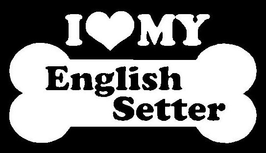 I Love My English Setter