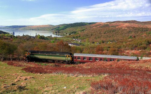 Mountain Scenes Wall Art Decals 180