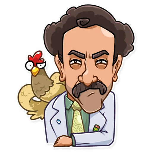 BORAT very nice funny car sticker 20