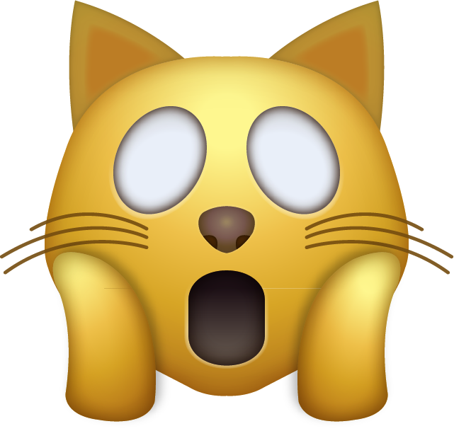 CAT OMG Emoji