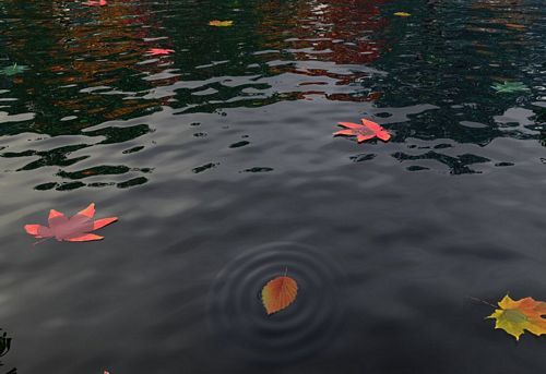 Close Up Photography Vinyl Graphics 41