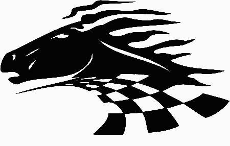 a vinyl horse car or wall decal 05