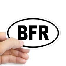 BFR big fucking rocket Oval Elon Sticker