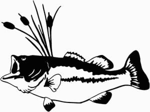 Big Mouth Bass Vinyl Diecut Car Decal