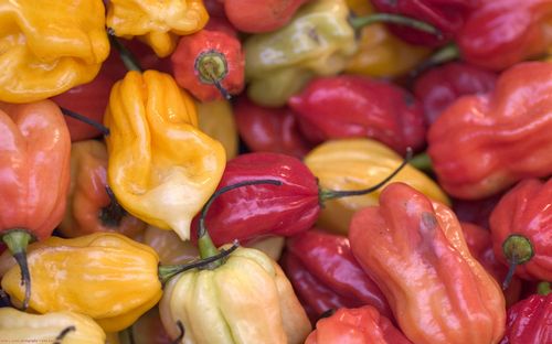 Close Up Photography Vinyl Graphics 31