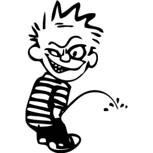 Crazy Calvin Peeon Decal