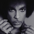 prince-closeup-madison