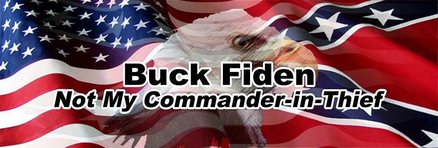 RWG rebel flag eagle USA flag rear window see thru graphic BUCK FIDEN