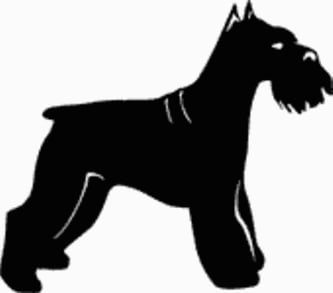 15V Schnauzer Dog Decal