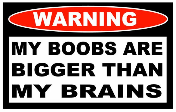 Boobs Bigger Brains Funny Warning Sticker