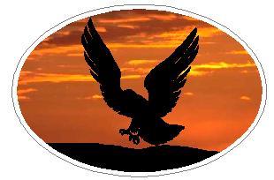 Oval Eagle Decal