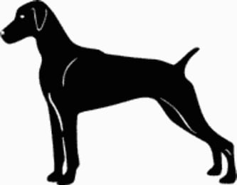15Za Weimereriner Dog Decal