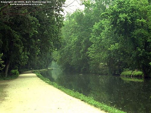 Landscape Vinyl Wall Graphic Decals 22