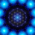 YOGA Flower of Life Color Sticker 7
