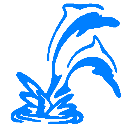 Dolphins decal