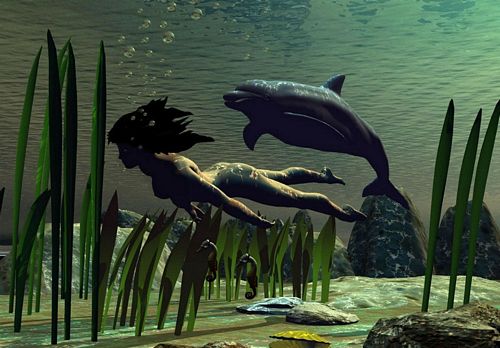 3D Object Vinyl Wall Decals 62