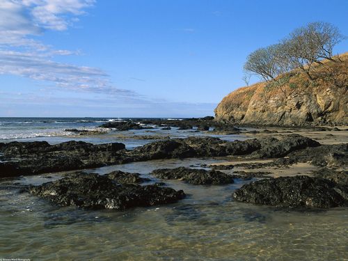 Landscape Vinyl Wall Graphic Decals 42