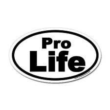 PRO LIFE OVAL 2